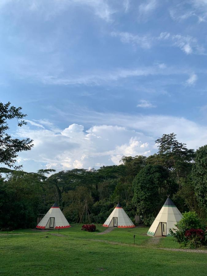 Hotel Bosque De Aventura & Glamping Refugio Del Bosque La Mesa  Exteriér fotografie