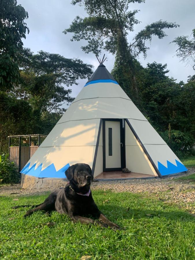 Hotel Bosque De Aventura & Glamping Refugio Del Bosque La Mesa  Exteriér fotografie
